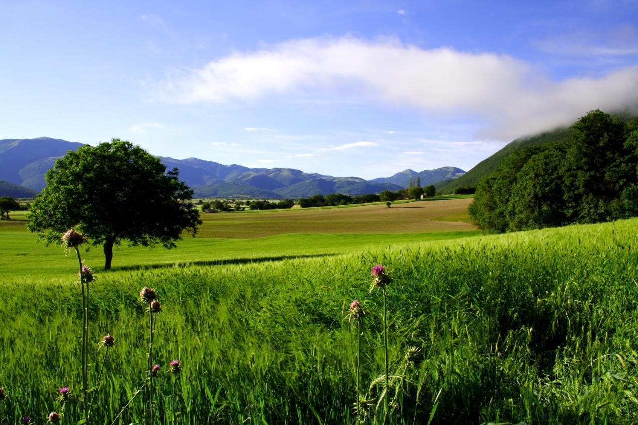 Agriturismo La Cascina Di Opaco Norcia Kültér fotó