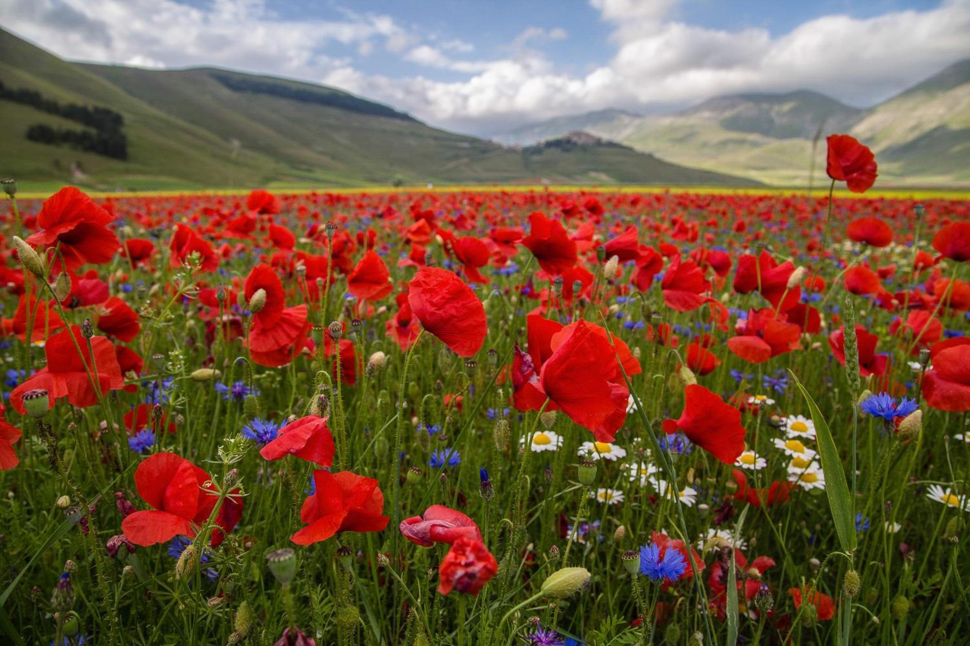 Agriturismo La Cascina Di Opaco Norcia Kültér fotó