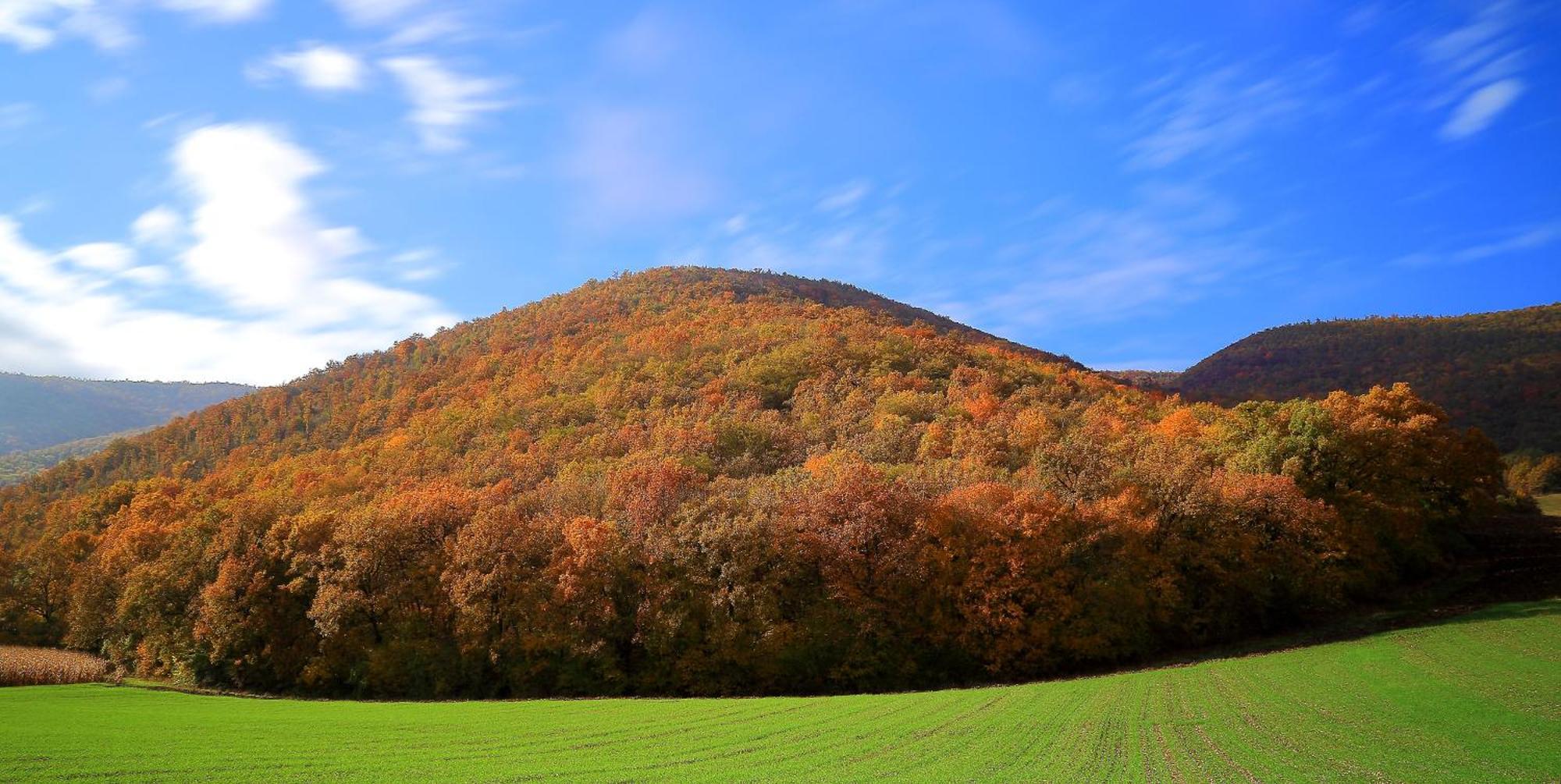 Agriturismo La Cascina Di Opaco Norcia Kültér fotó