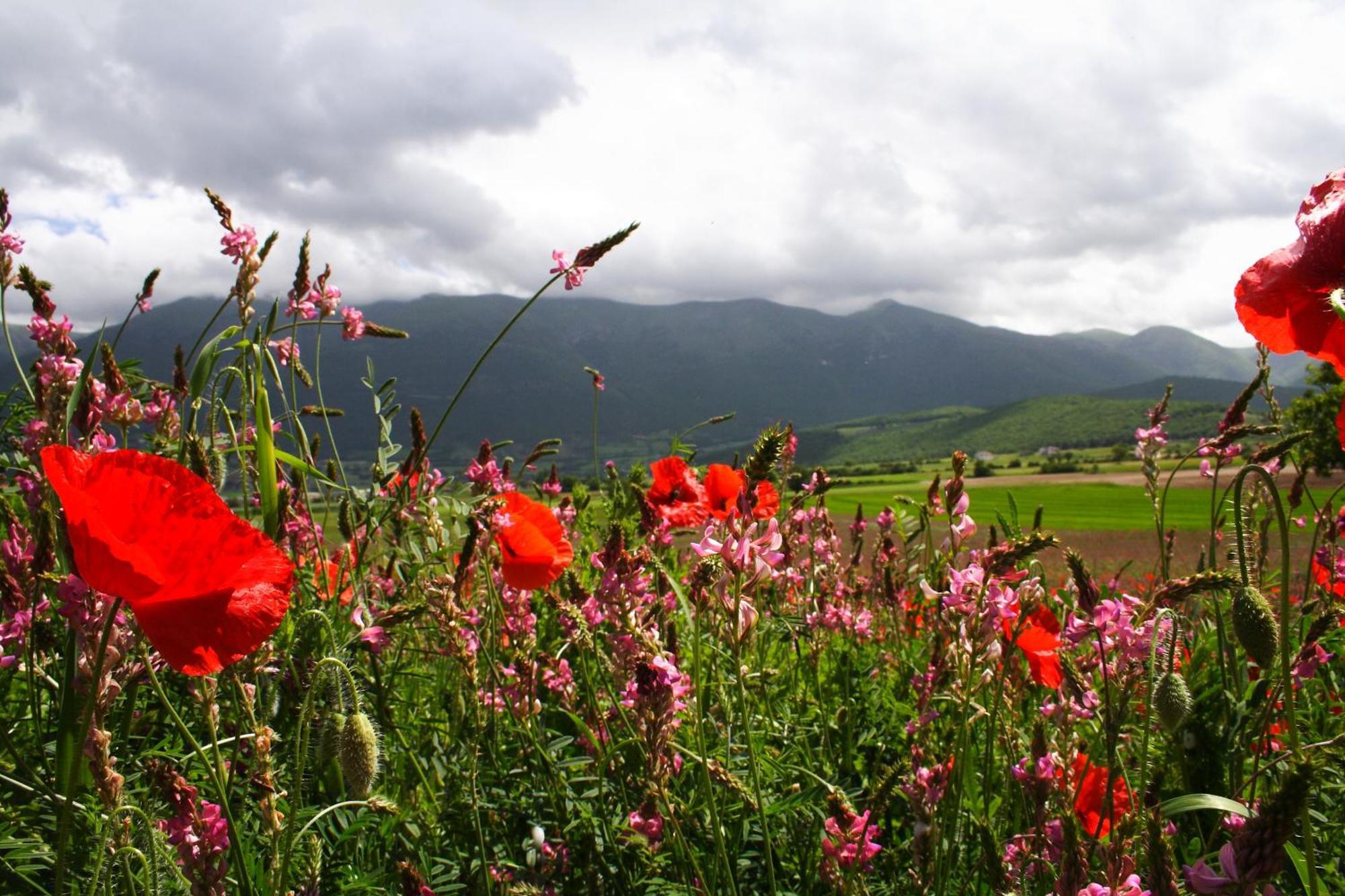 Agriturismo La Cascina Di Opaco Norcia Kültér fotó