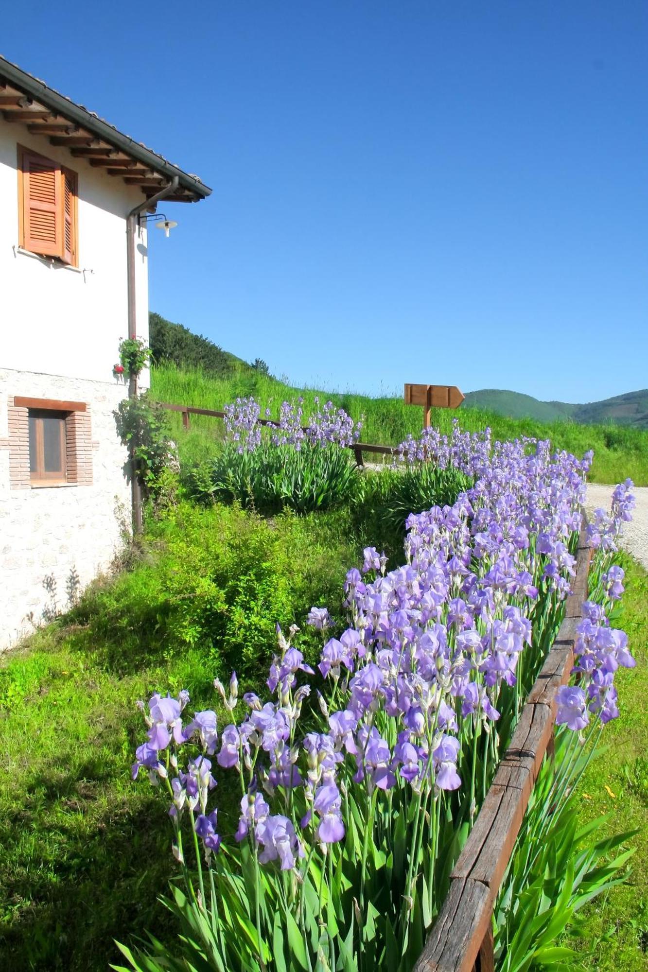Agriturismo La Cascina Di Opaco Norcia Kültér fotó